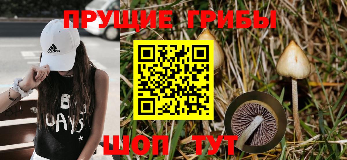 Новотроицк  Псилоцибиновые грибы Magic Shrooms  Вход с VPN 