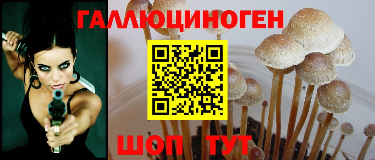 Галлюциногенные грибы прущие грибы Новотроицк